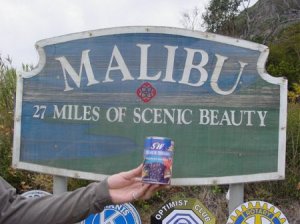 beans in Malibu - ViralReality